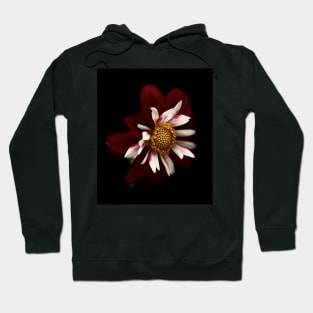 Red Dahlia Hoodie